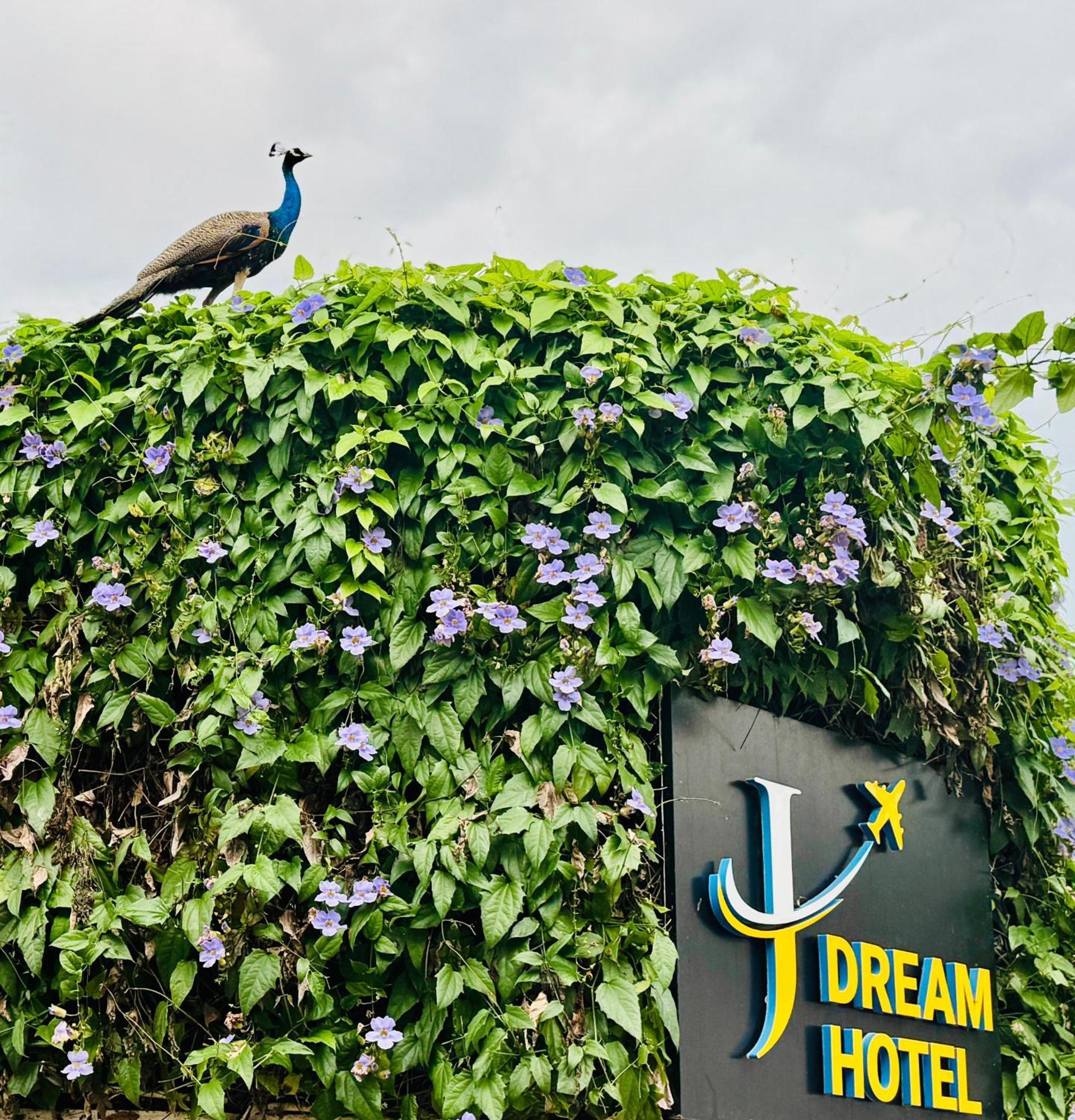 Airport J Dream Resort Dewamottawa Exterior photo